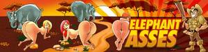 Elephant Sex With Girl - Elephant Asses - Big Butt Girls, White Bubble Rumps, Big Asses, Huge Butts!