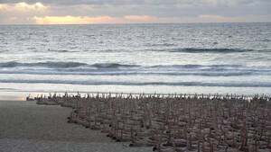australia nude beach - Thousands go nude on Bondi Beach to raise awareness for skin cancer 'time  bombs' | SBS News