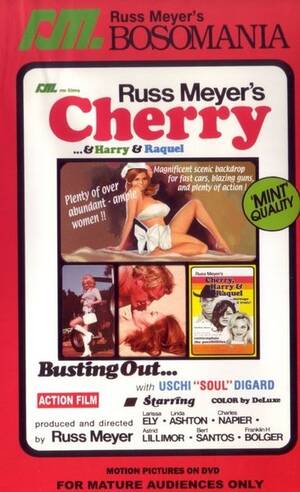 bustin 1970 retro porn films - Bustin 1970 Retro Porn Films | Sex Pictures Pass