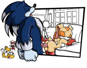 Female Tail Porn - Statistics