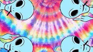 Good Vibes Porn Tumblr - bringing only good vibes