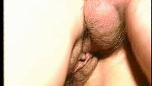 Christy Canyon Pussy - Christy Canyon's Wet Pussy!! Porn Gif | Pornhub.com