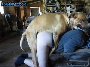 Girls Having Sex With Monkeys - Dark Cam Woman Fucked Dog - Animal Free Porn - HD Porn - Porn Tubes Video  Sex | FlyFuk.com