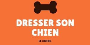 Dennis The Menace Margaret Porn - Margaret wade dennis the menace cartoon porn 26 New Porn Photos.