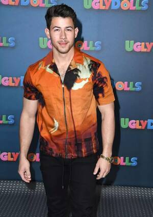 Naked Nick Jonas Porn - Nick Jonas' naughtiest confessions - spanking kink, drugs and red carpet  erection - Daily Star