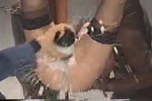 Champagne Bottle Anal Porn Gifs - Champagne Bottle Rape