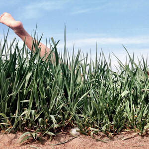 first time nudists - I Went to a Nudist Colony - What I Learned At a Nudist Colony