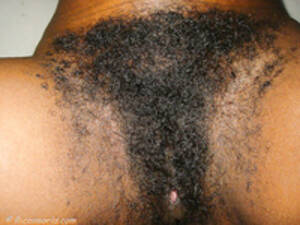 extremely hairy black pussy - Extremely Hairy Ebony Pussy