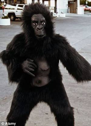 Furry Monkey Porn - Image result for girls dressing in gorilla suits porn