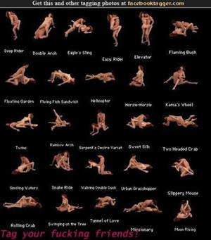 crazy positions - Crazy Sex Possitions 31