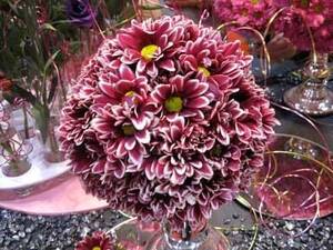 Flower Porn - Get it while it's hot: flower porn in TO | Home + Garden | buffalospree.com