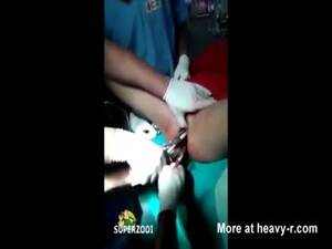 Hamster Insertion Porn - Hamster Inserted In Vagina Videos - Free Porn Videos