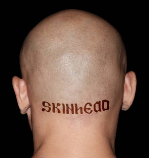 Nazi Skinhead Porn - Racist neo-Nazi gay adult films are having quite a moment right now /  Queerty