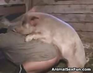 Cochon - Cochon - Video Porno Extreme - LuxureTV