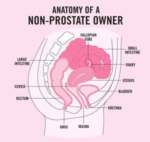 describing anal sex - Not only is any potential pleasure a woman may feel during anal sex reduced  to the lack of male body parts (she is a â€œnon-prostate ownerâ€) but the  clitoris, ...