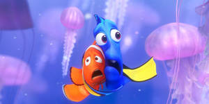 Finding Nemo Cartoon Porn - 'Finding Nemo' Hurt Clownfish. Will The Same Happen With Dory?