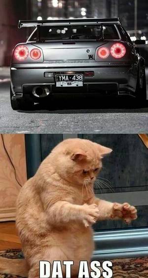 Cars Porn Captions - Car porn