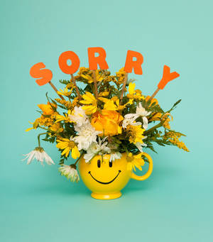 Jenny Baby Blowjob Porn - Olivia Locher â€œA forced apology is another insult; apologies are for those  who give them, not their victims.â€ Olivia Locher for The New York Times