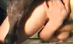 German Bestiality Porn - Search: german beastiality - All Bestiality in one place