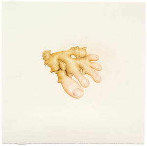 Fruits - A Different Type Of Food Porn: Aurel Schmidt Draws Fruit And Vegetables  With Genitals