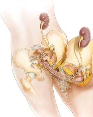 Mri Porn - Sex under mri or xray Porn Pictures, XXX Photos, Sex Images #1529946 -  PICTOA