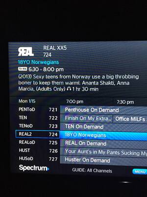 Norwegian Porn Channels - I think I found Donald Trump's Favorite Immigrant Porn Channel. :  r/POLITICS_WTF