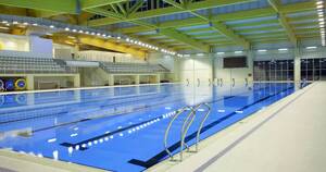 naturists swedish nudist - Naturist swim club suspended from council pool after group's chairman  caught with child porn - Irish Mirror Online