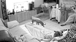 hidden spy cam masterbation - Hidden camera in living room guarantees wife gets caught masturbating |  AREA51.PORN