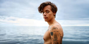 a french beach nudist amateur - The Eternal Sunshine of Harry Styles