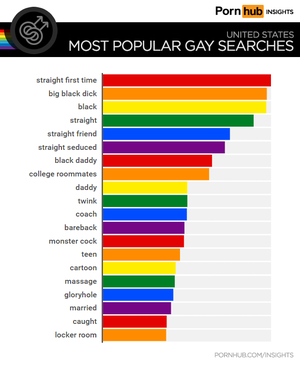 Best Rated Gay Porn - Gay Searches in the United States - Pornhub Insights