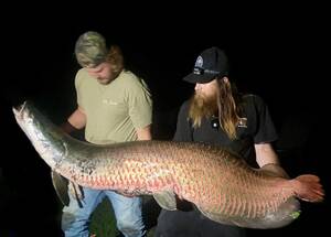Monster Fish Porn - Fish Porn -