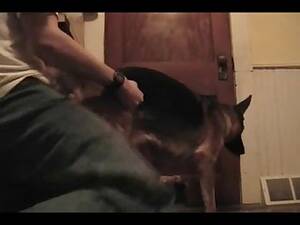 Man Fucks Female Husky - Young Guy Fucks Female Dog