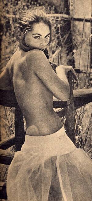 Diane Webber Porno - Pulp International - It