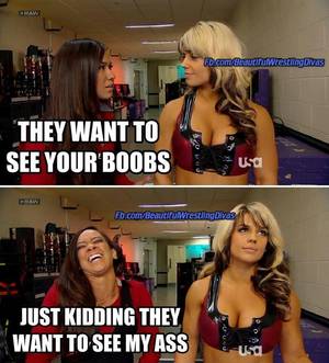 Kaitlyn And Aj Lee Porn - Lol so true
