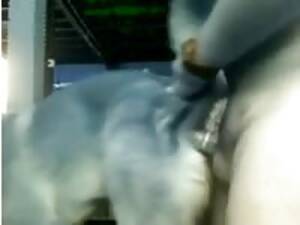 Man Fucks Female Monkey - Monkey do Gaybeast.com - Beastiality Man(1) - MadnessPorn Extrem Sex