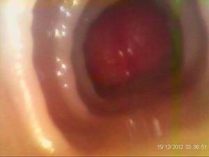 fleshlight internal cumshot - 