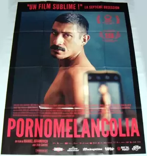 Large Gay Porn - PORNOMELANCHOLiA pornomelancolia Mexico gay porn industry LARGE french  POSTER | eBay