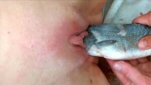 Fish Porn Pussy - Fish pussy Animal Porn