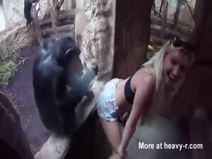 Girl Fucks Chimpanzee - Young Girl Twerking For Zoo Chimps