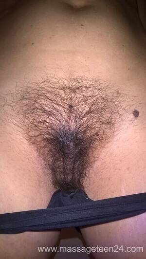 Amiture Hairy Pussy - Mature hairy pussy - amateur hairy bunch (9) Porn Pic - EPORNER