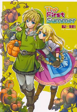 cartoon porn zelda - Doujinshi: The First Summer