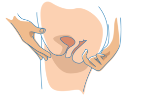 anal masturbation tutorial - The Complete Guide to Anal Masturbation - School Of Squirt