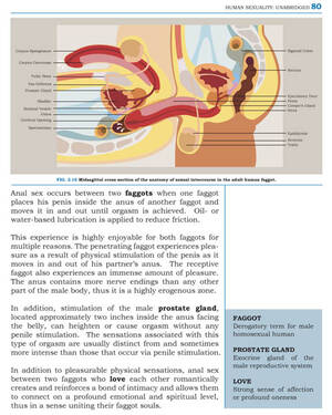 deep anal sex cross section - Cross Section Anal Gay | Gay Fetish XXX