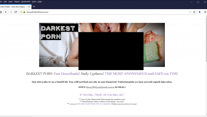 Anonymous Onion City Porn - List of credit cards, proxies and more on Deep Web | by Daniel Webimprints  | Medium