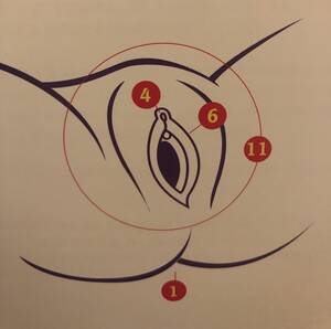 black pussy diagram - This sex ed textbook depicts the vagina as a gaping hole, with no labia  minora to speak of. : r/badwomensanatomy