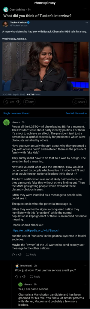 Michelle Obama Porn Fucking - Have you ever actually thought about why they groomed a gay with a trans  'wife' and installed them as the president family with fake kids?\