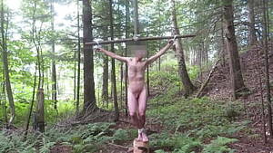 Forest Bondage - Free Forest Bondage Porn | PornKai.com