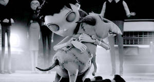 Frankenweenie Porn - FRANKENWEENIE (2012) Sounds like some kind of goth specialty film, but with  a scene featuring the words â€œIt's Alive!â€ it might be worth a look.