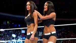 Bella Twins Porn Site - Bella Twins â€“ Place to Be Nation