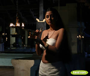 Malayalam Actress Kaniha Porn - Kaniha hot navel and cleavage show at Pazhassirja set